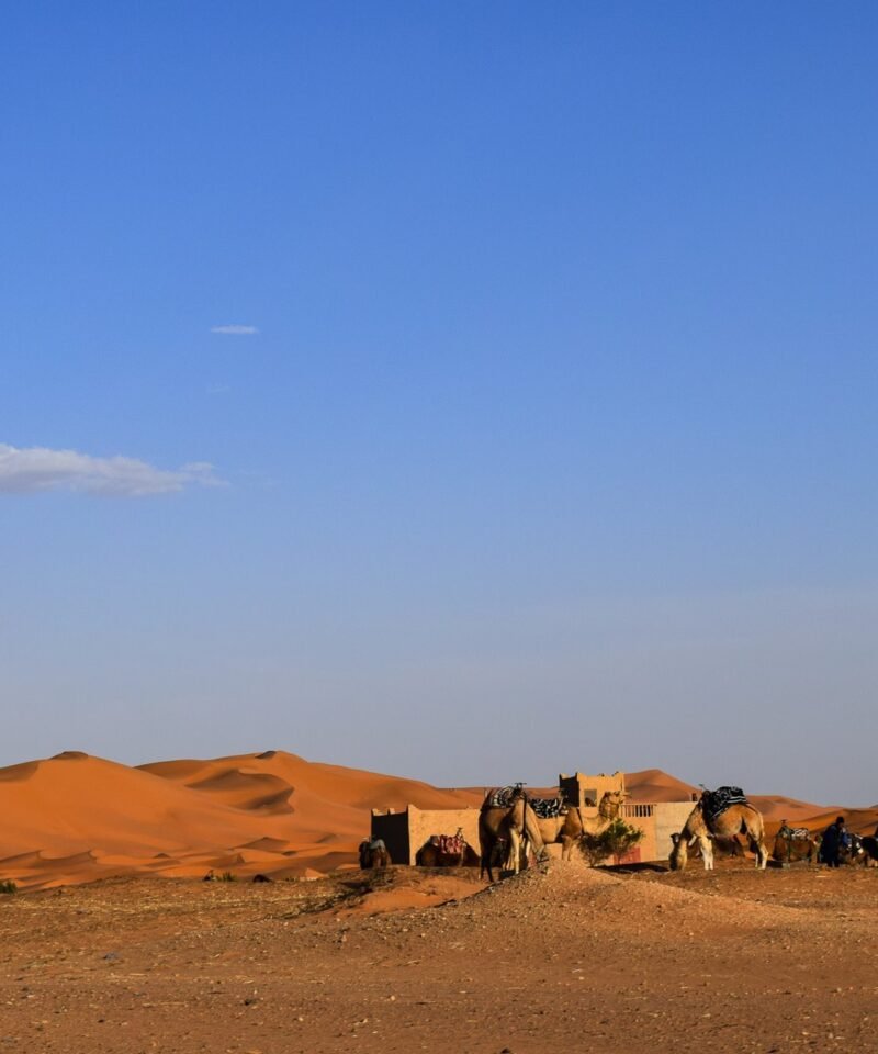 Merzouga desert morocco