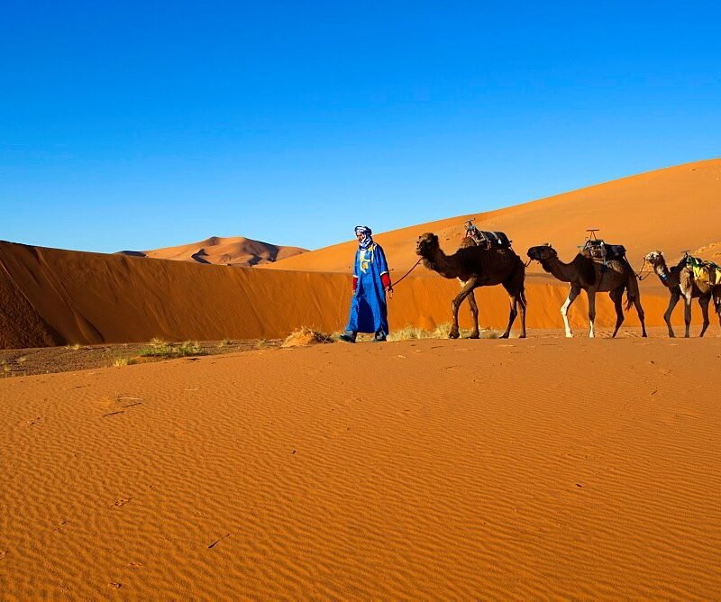 Morocco Desert tours