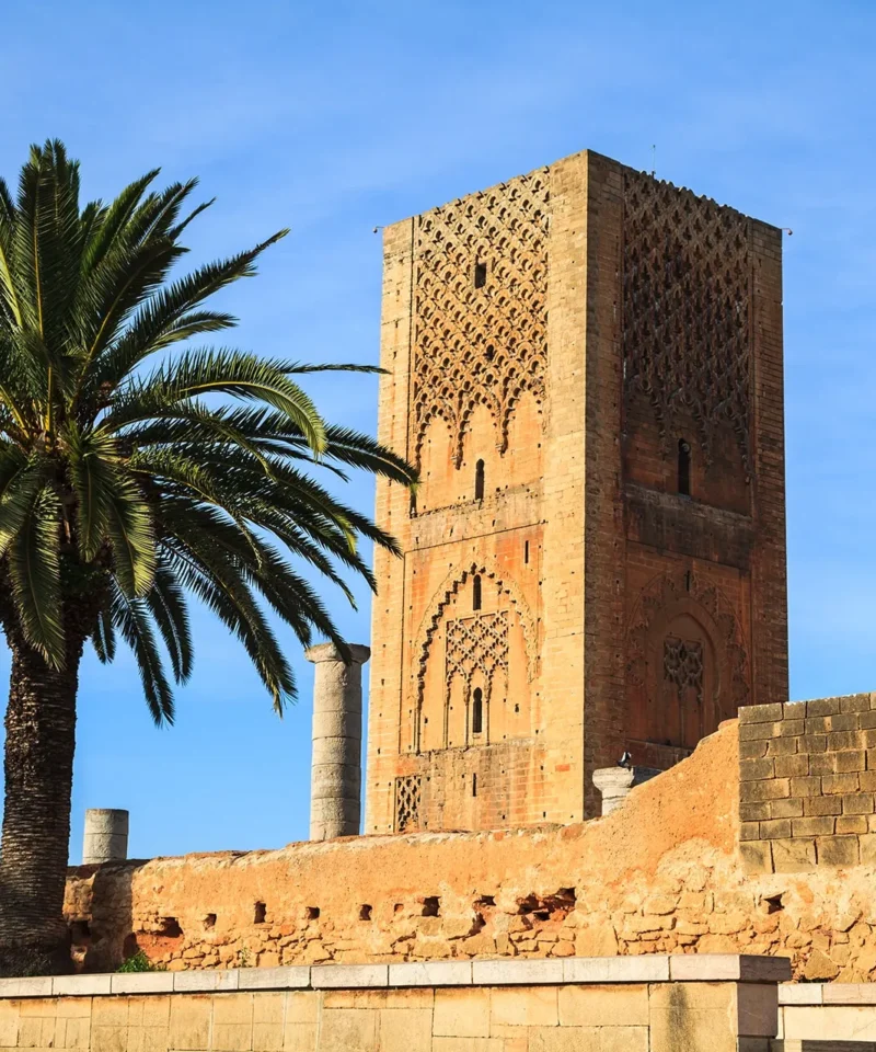 14 days luxury morocco tour