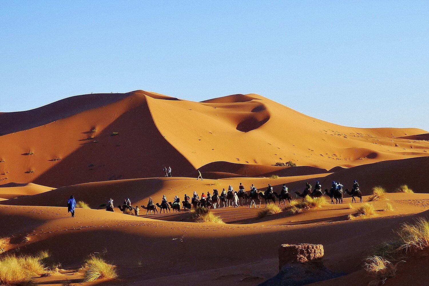 Luxery desert camp