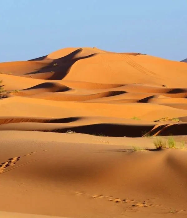 4 days morocco desert trip