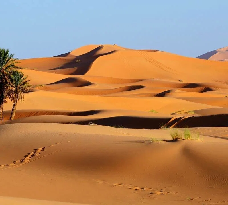 4 days morocco desert trip