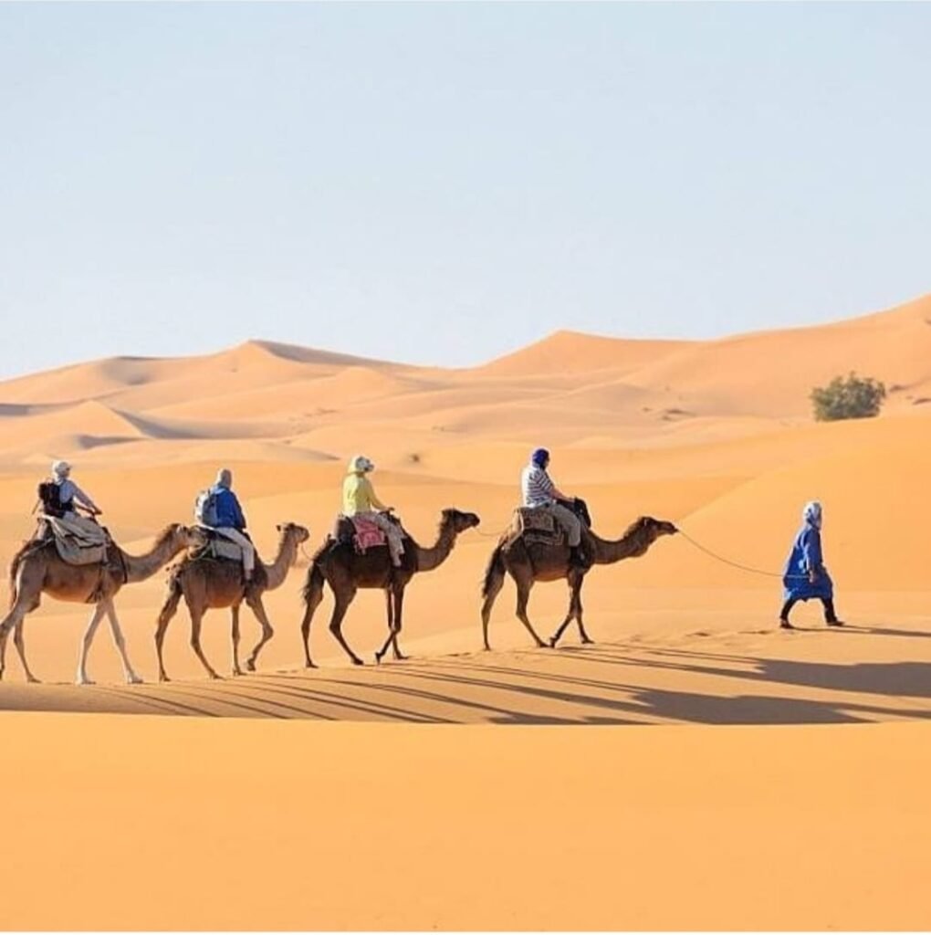 Marrakech to dunes of Erg Chebbi