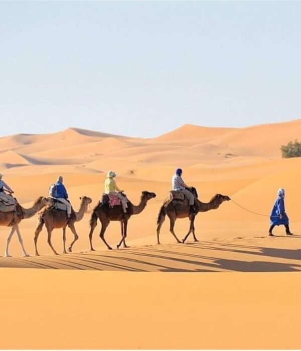 Marrakech to golden dunes of Erg Chebbi