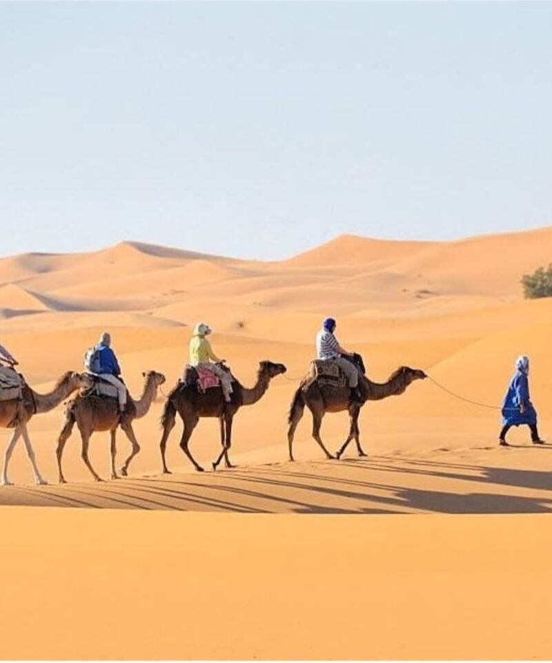 Marrakech to golden dunes of Erg Chebbi