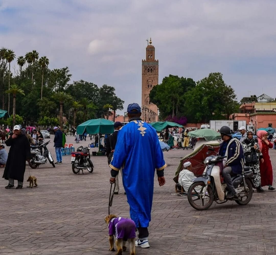Marrakech to Sahara Desert